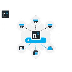 Nx Witness-Professional Recording License, арт. L01-NXWI фото